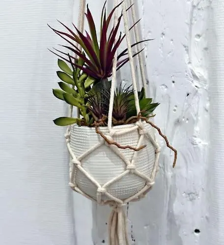 Cosy Lemonade In Bastille 公寓 巴黎